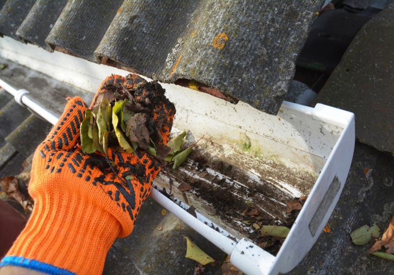 Clogged Gutter Clearing in Morris County, NJ