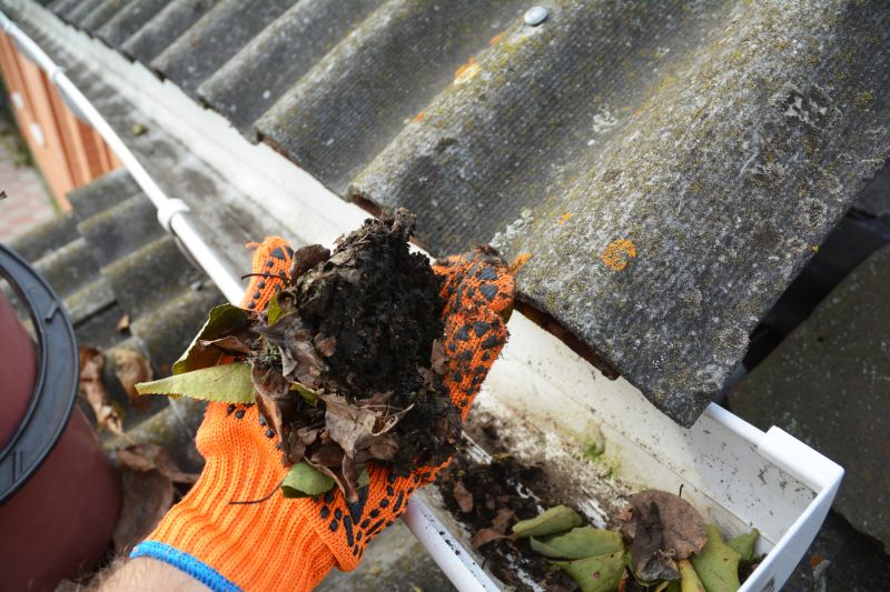 Commercial Gutter Maintenance in Denver County, CO