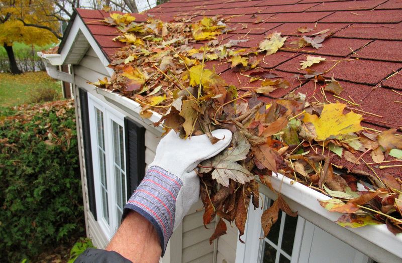 Downspout Cleaning in Longmont, CO
