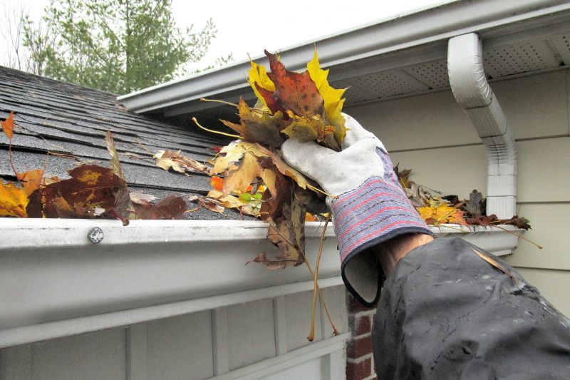 Downspout Cleaning in Monmouth County, NJ