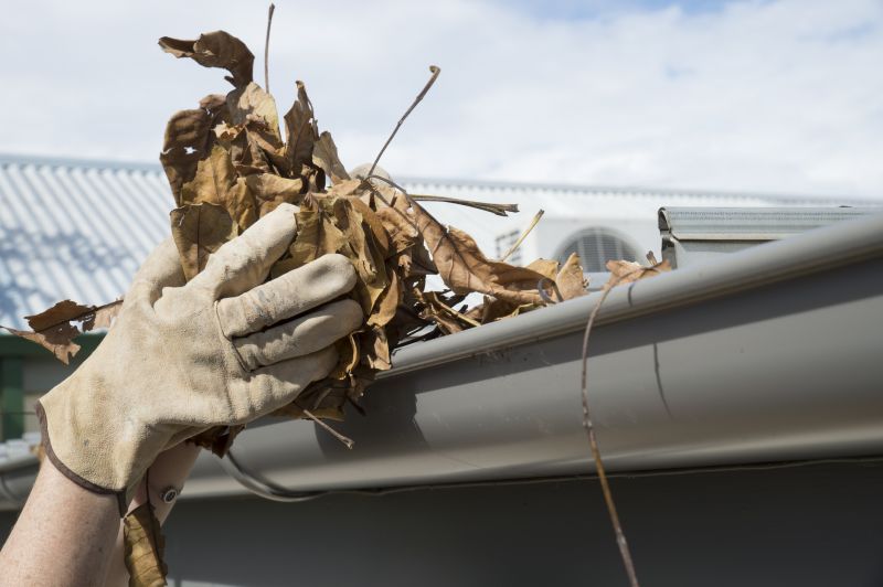 Gutter Leaves Removal in Morris County, NJ