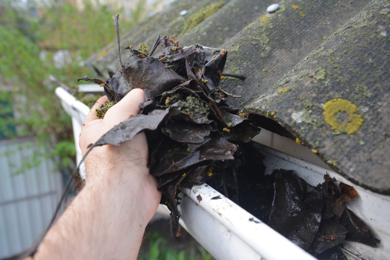 Gutter Pine Needle Removal in Annapolis, MD