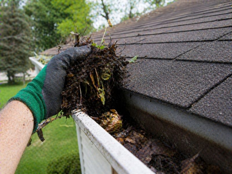 Gutter Pine Needle Removal in Morris County, NJ