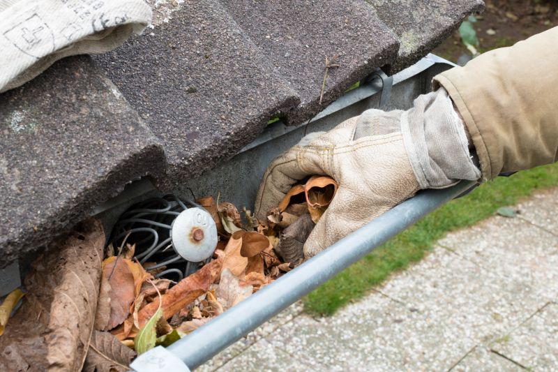 Gutter Pine Needle Removal in Arvada, CO